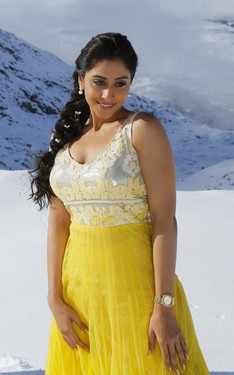 Soukyam movie photos